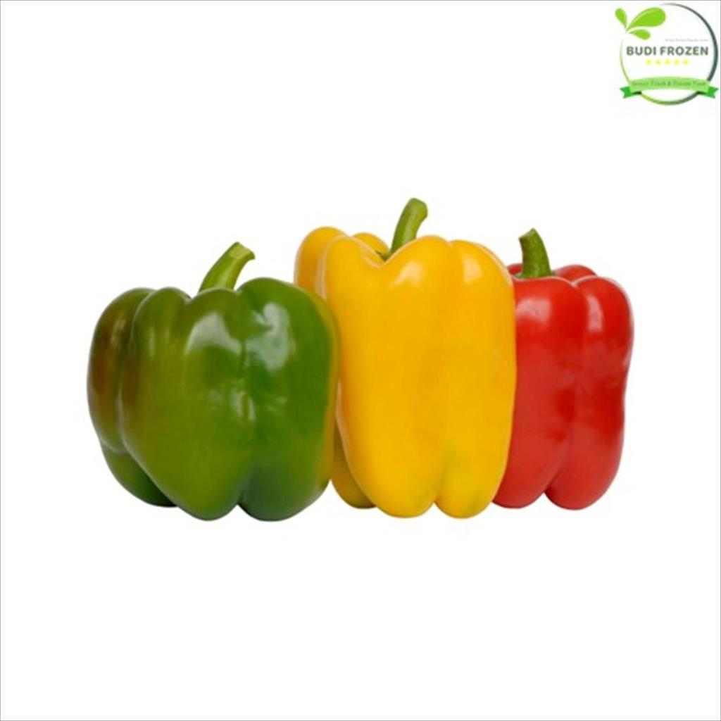 PAPRIKA HIJAU / PAPRIKA MERAH / PAPRIKA KUNING / PAPRIKA SEGAR FRESH (BIJIAN) – PAPRIKA PETANI LOKAL