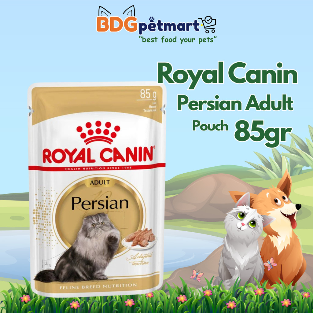 ROYAL CANIN PERSIAN ADULT WET FOOD - 85 GR