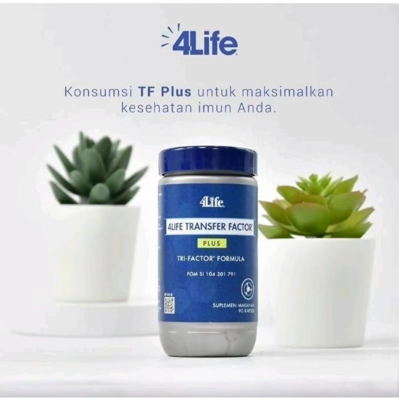 4Life Transfer Factor Plus Original suplemen kesehatan