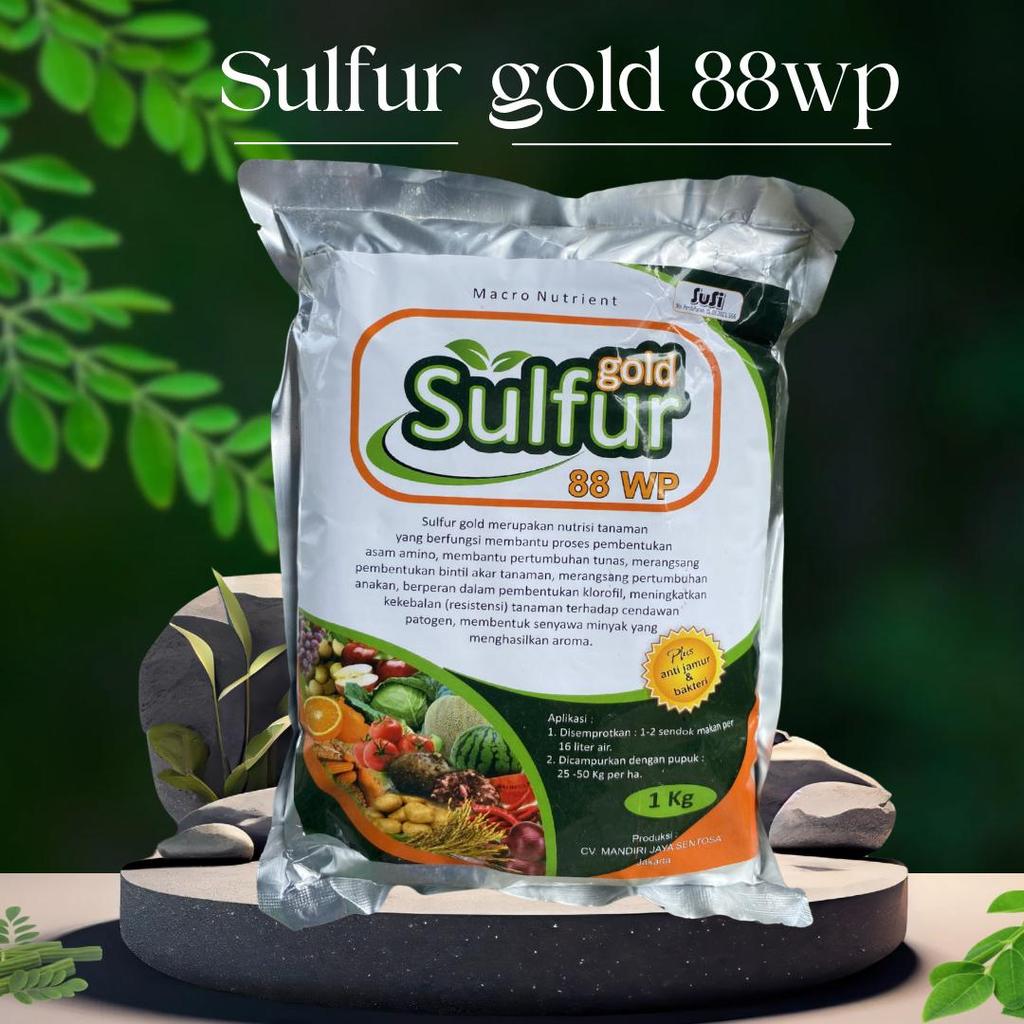 Sulfur Gold 1 Kg Fungisida Sulfur Belerang