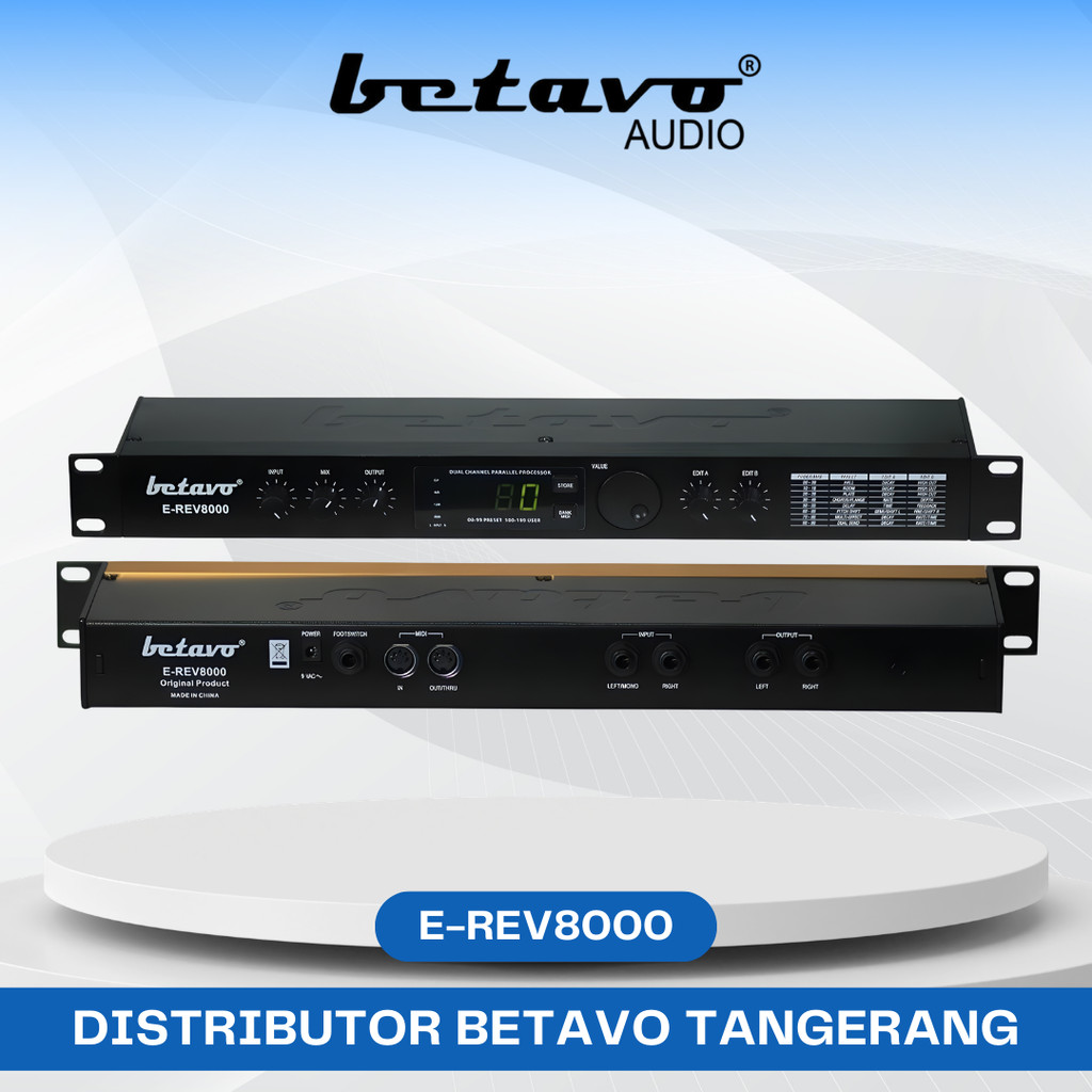 Preset/Programmable 24 bit Signal Processing Betavo E-REV8000