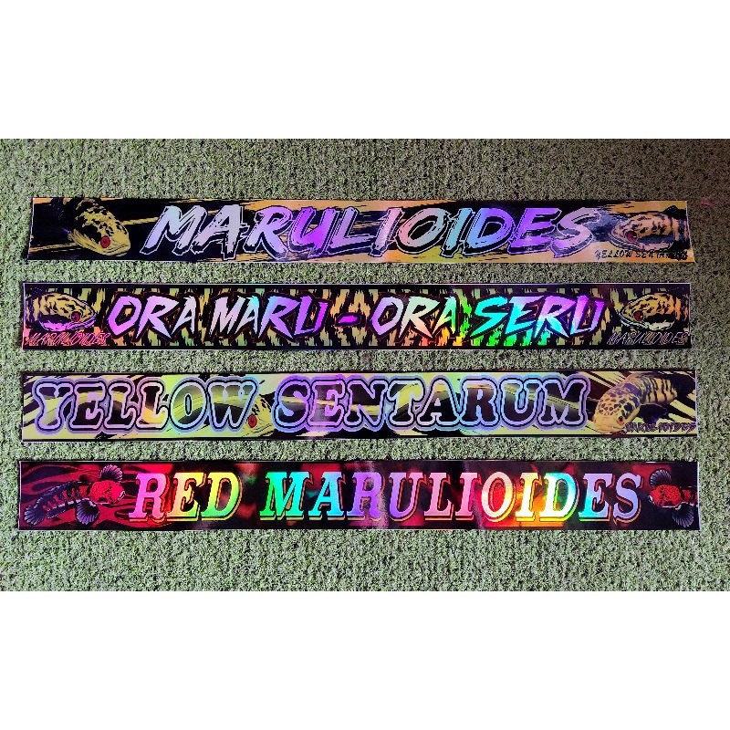 Stiker Hologram Ikan Channa Marulioides Anti Air