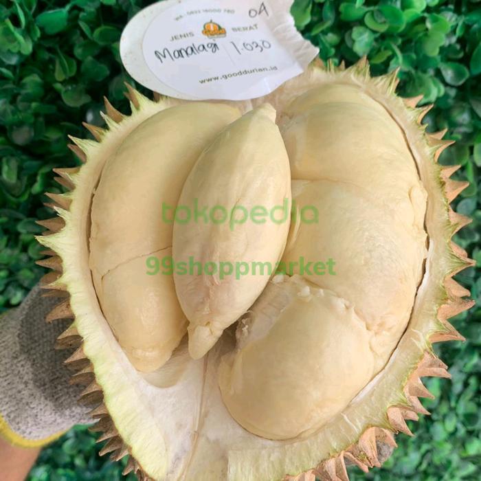 Durian Manalagi utuh / pics