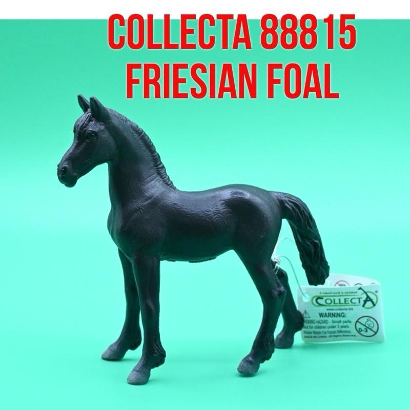 CollectA 88815 Friesian Foal Horse Anak Kuda Equus Caballus | Mainan Binatang Miniature Hewan Animal