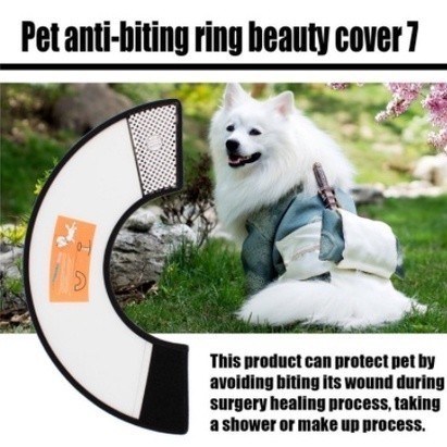 Elizabeth Collar Anjing Kucing Corong Anjing Kucing Pet Collar