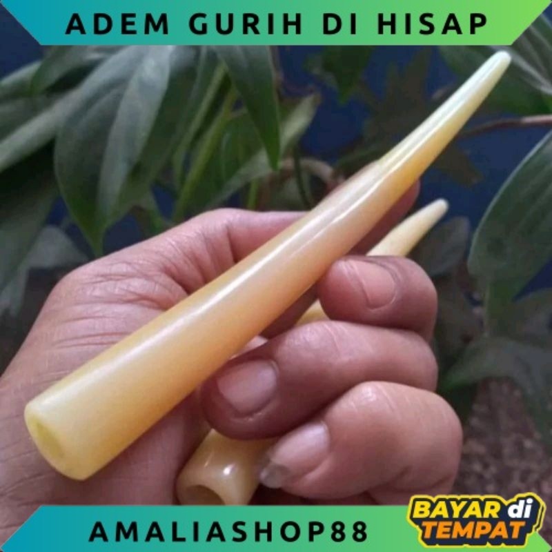 ONCE PIPA TULANG UNTA RASA PULEN ADEM