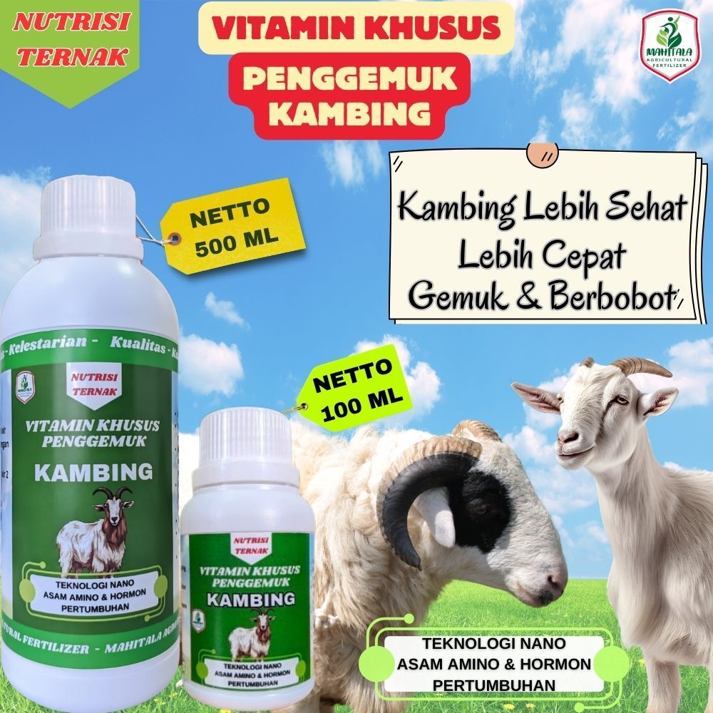 Germo - Vitamin Khusus Kambing Biar Gemuk Obat Penggemuk Kambing Domba Obat Nafsu Makan Kambing Domb