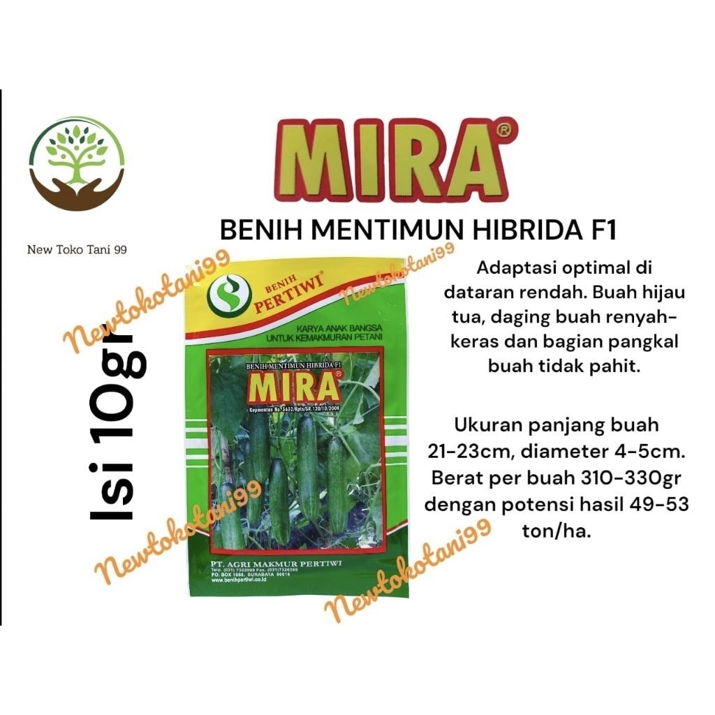 ( 10gram ) Benih timun MIRA 10gr benih ketimun hibrida MIRA dari benih pertiwi timun hijau hibrida b