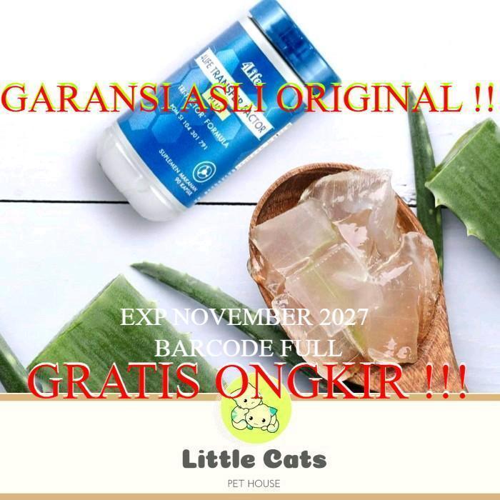 4 life tf plus vitamin kucing transfer factor EXPIRED NOVEMBER 2028 4LIFE #BISACOD