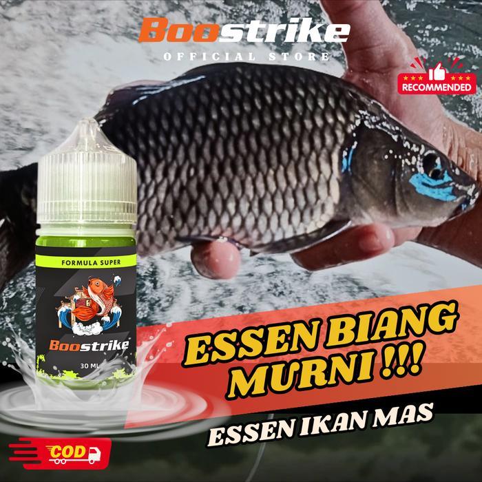 Essen Ikan Mas Cocok Segala Cuaca - Umpan Terbaik