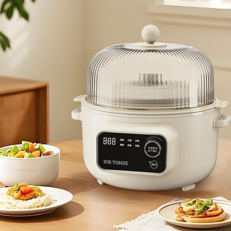 TONZE Electric Slow Cooker, Double Boiler, Soup Pot, Health Pot, Porridge Cooker, Serves 3-4, Steams