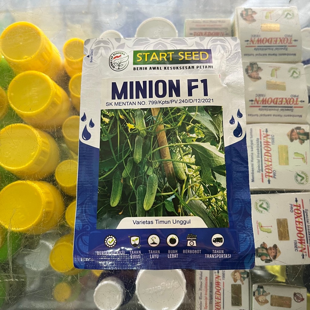 BENIH TIMUN MINION F1 20 GRAM CAP BENDERA