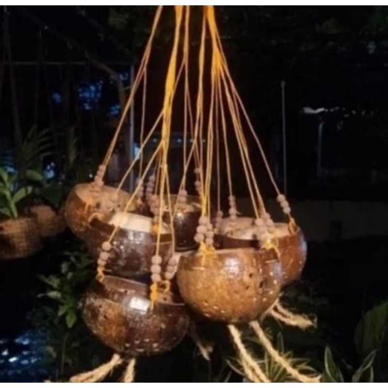 Pot Batok Kelapa/Tempurung Kelapa Gantung Cantik (Griya Taman Store)