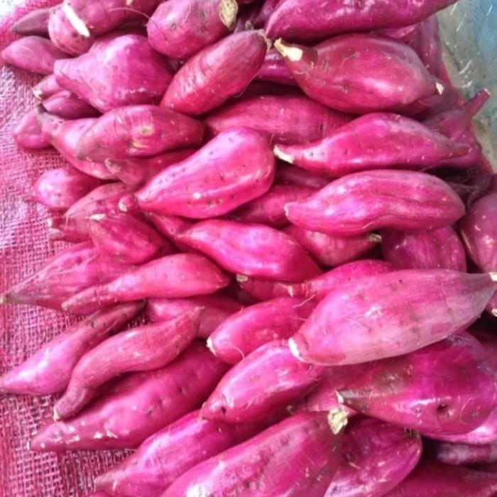 ubi jepang baby harga per 500gram