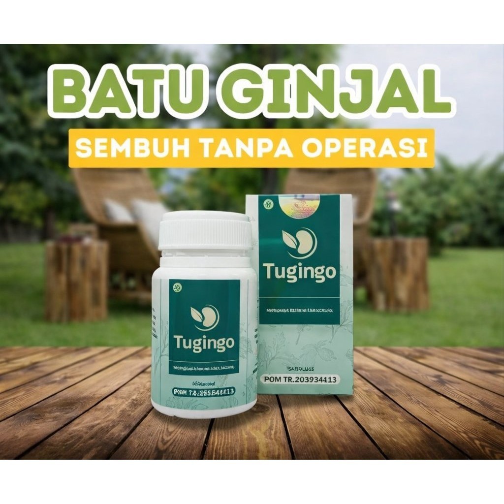 TUGINGO HERBAL Obat Batu Ginjal Herbal Penyakit Ginjal Kronis Gagal Ginjal / Ginjal Bocor  Infeksi G