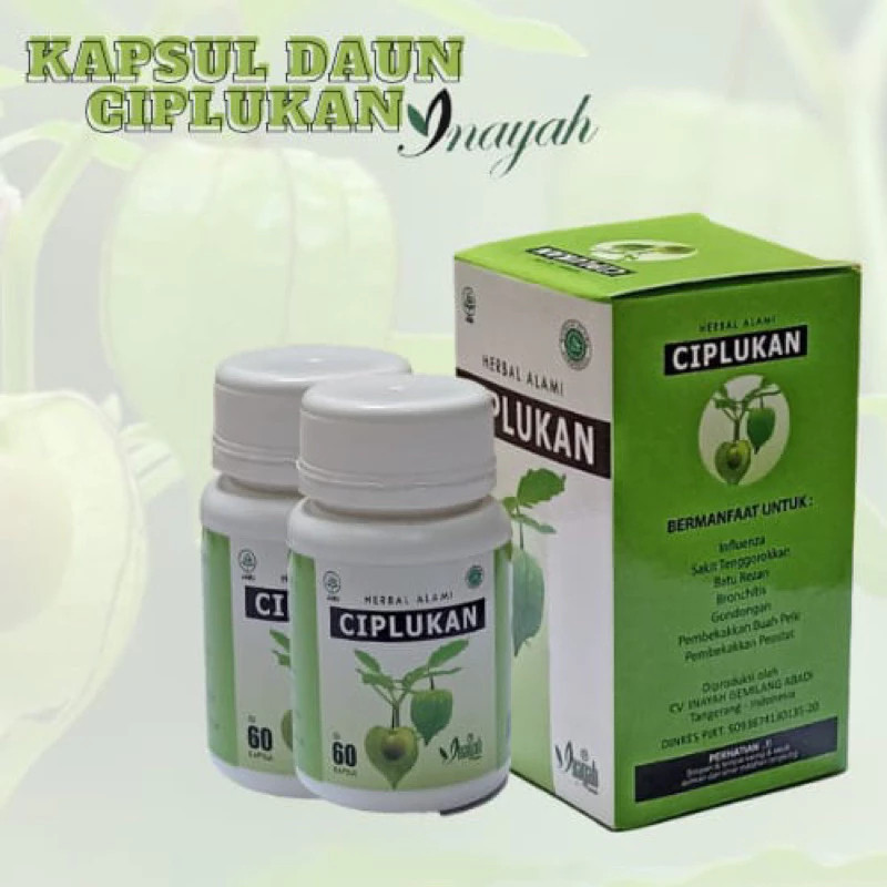 Ciplukan INAYAH Obat stroke ampuh herbal suplemen untuk terapi Diabetes  isi 60 kapsul  (62)