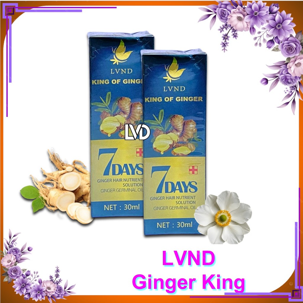 LVND GINGER GERMINAL OIL 30ml Hair Growt Serum