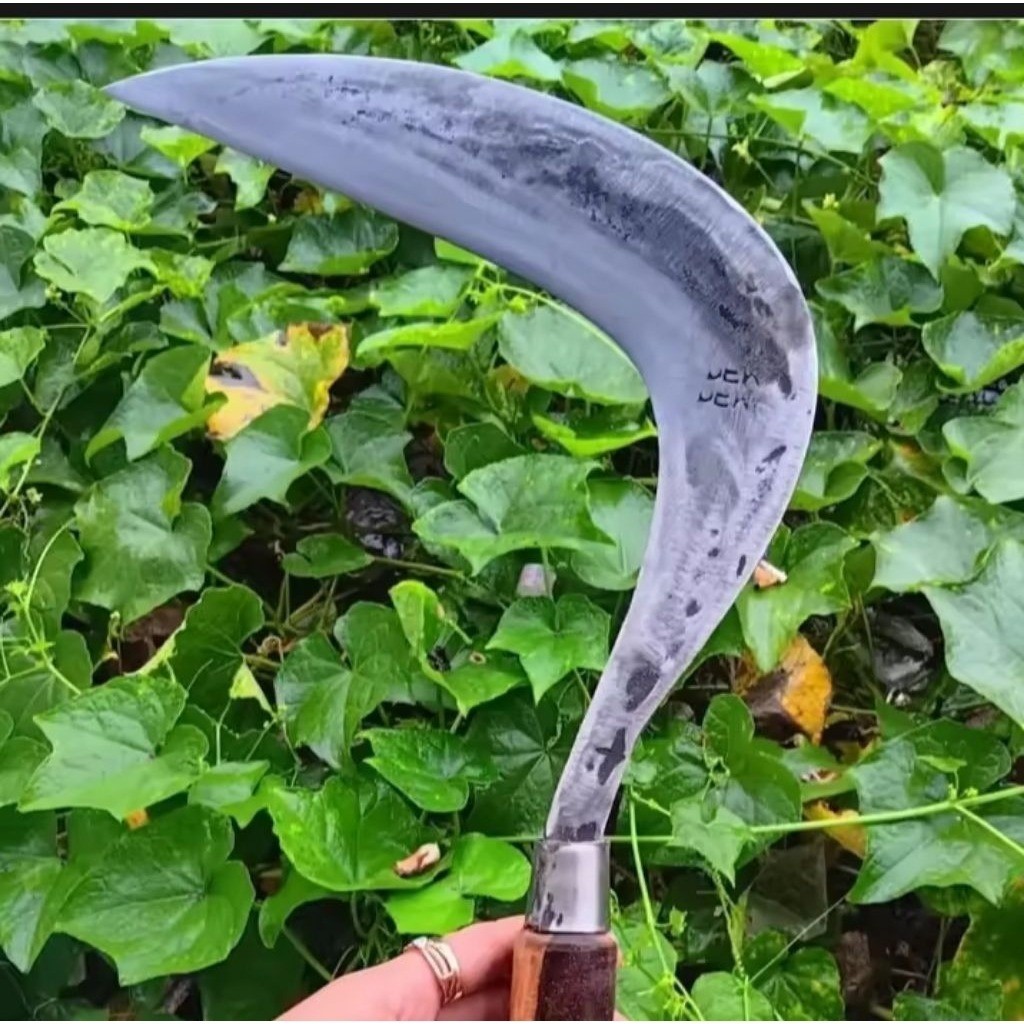 Arit Rumput cap Dewi bintang model Jawa - Baja asli siap pakai