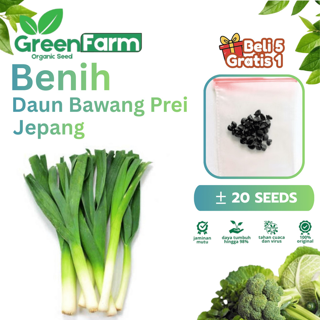 20 Biji - Benih Daun Bawang Jepang Tokyo Natsugoro - Bibit Sayuran