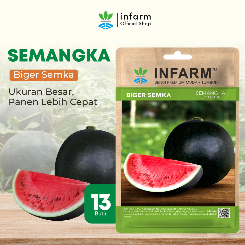 BOTANI - Benih Buah Semangka Merah Unggul, Bibit Buah Semangka Merah Jumbo Hibrida Super Bibit