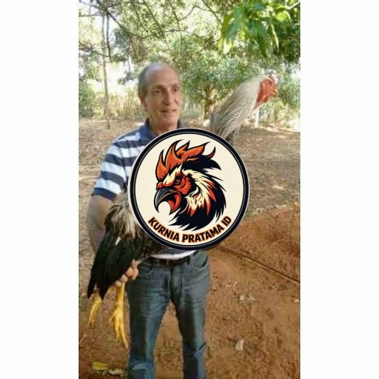 Telur ayam gorila / gorilla jumbo fertil siap ditetaskan KURNIA PRATAMA ID