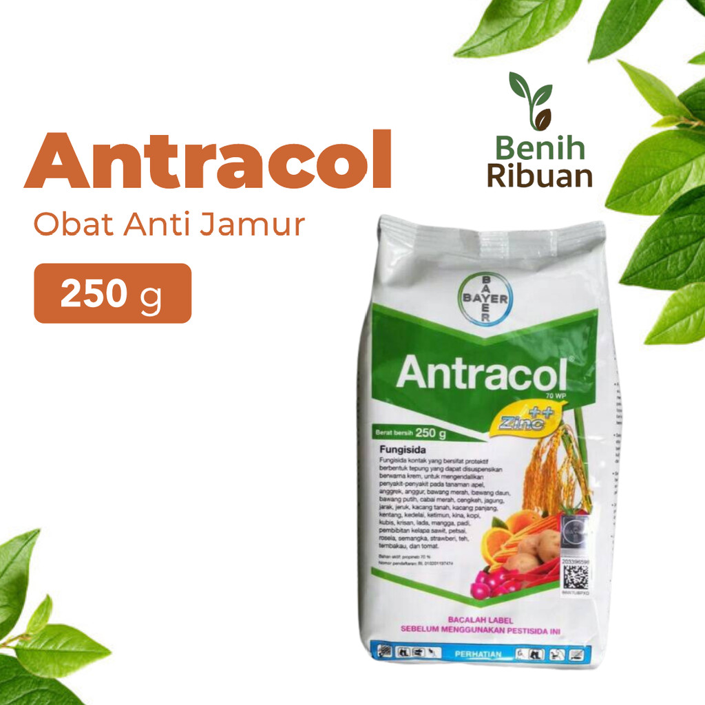 BENIH RIBUAN - Antracol Fungisida 250 gram, Fungisida Sistemik Zinc Obat Anti Busuk Jamur Tanaman