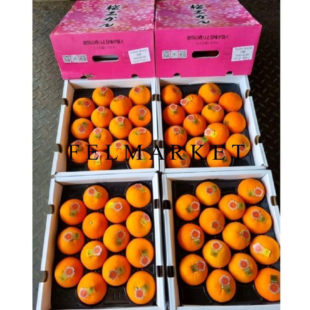 Buah Jeruk Mikam Sakura Premium / Jeruk Sakura Bibit Jepang / Hampers Buah Imlek / Dus