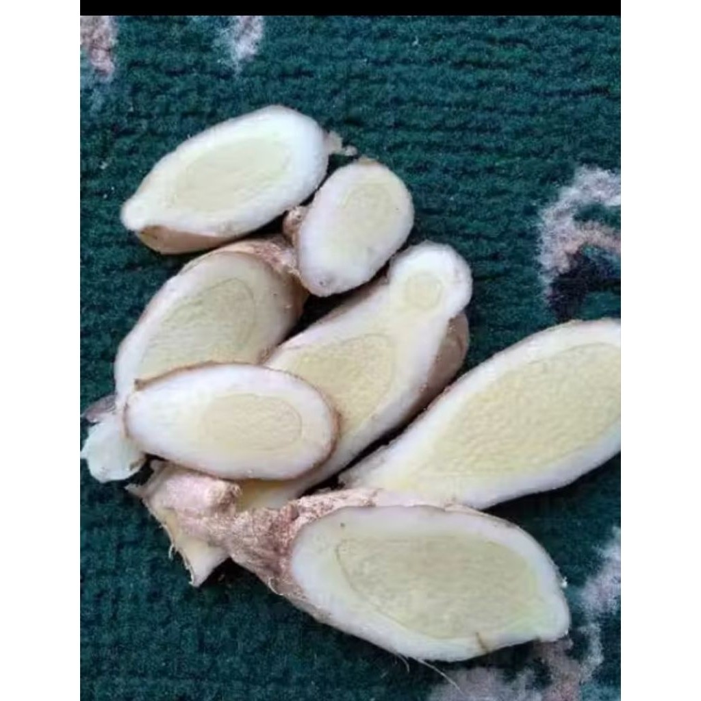 KUNYIT PUTIH 250 GRAM/PROMO KUNYIT PUTIH SEGAR/KUNYIT PUTIH 250 GRAM SEGAR