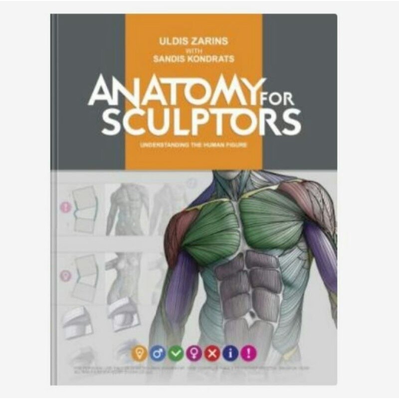 PROMO ANATOMY FOR SCULPTORS  UNDERSTANDING THE HUMAN FIGURE