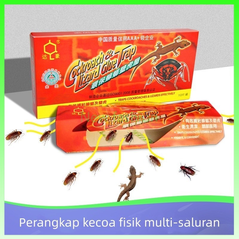 Perangkap rumah kecoa, rumah tokek, jerat rumah kecoa