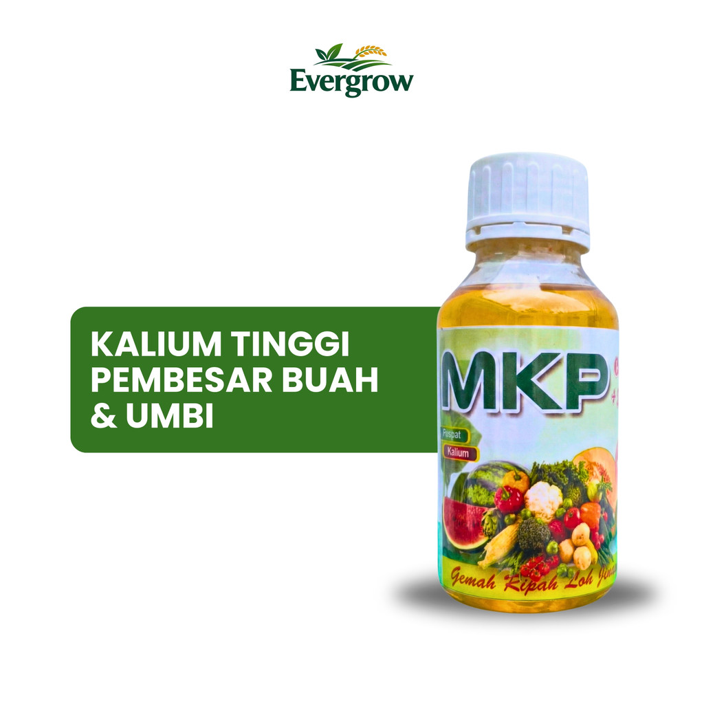 Pupuk Cair MKP 500 ml – Kalium Tinggi Pembesar Buah & Umbi