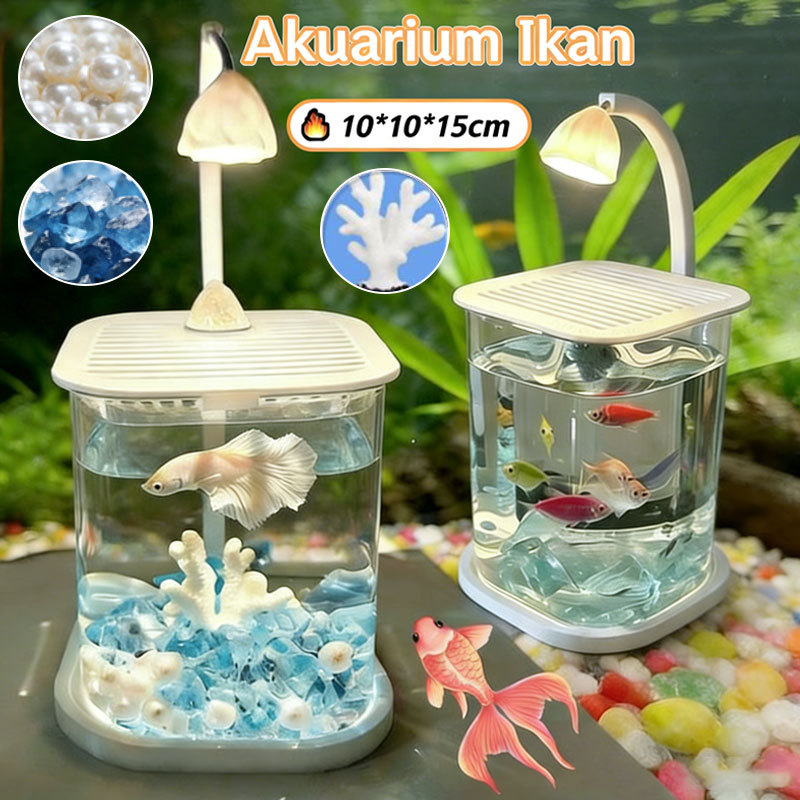 Akuarium Mini Kaca Transparan Dengan Lampu LED Wadah Ikan Cupang Hias Desktop Akuarium Lanskap