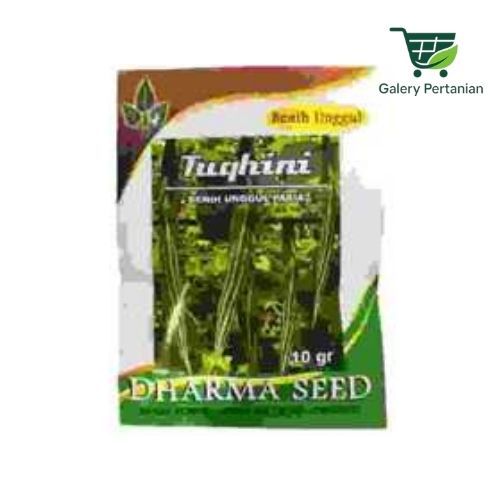 Benih Pare Tuqhini 10gr Original Dharma Seed Pare Belut Unggulan