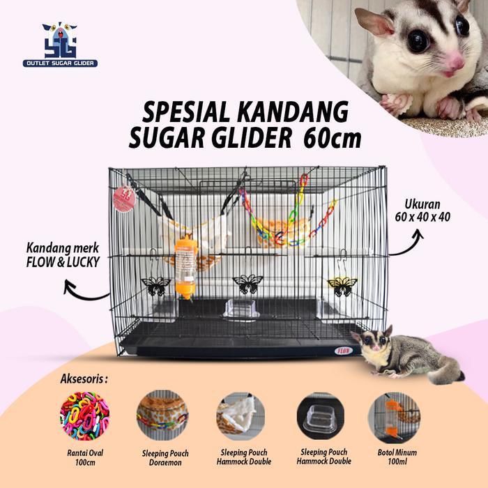 SPESIAL PAKET KANDANG 60CM - SUGAR GLIDER - Putih