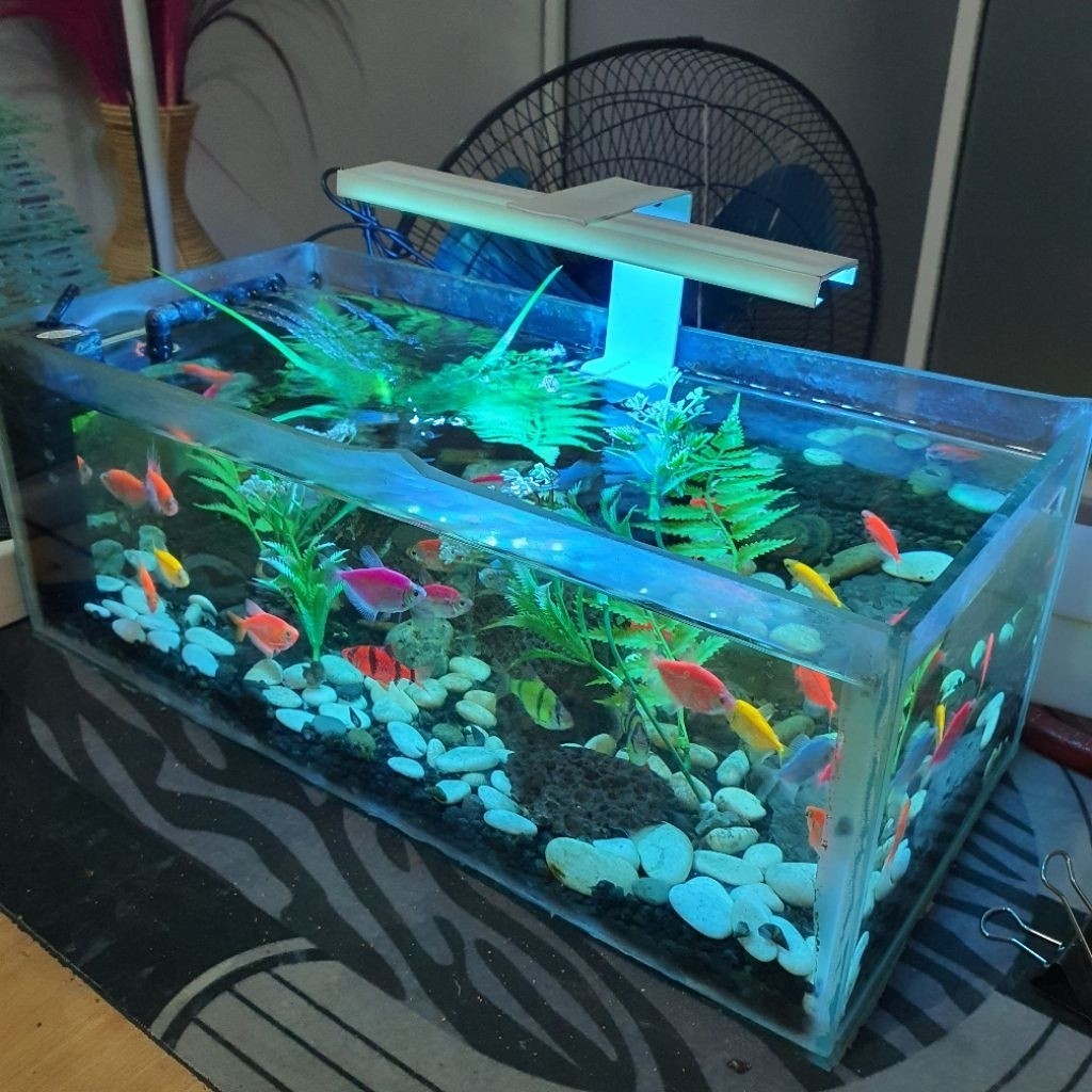 Lampu LED akuarium / aquascape, Lampu LED warna, lampu perangsang warna ikan, Lampu LED Biru USB