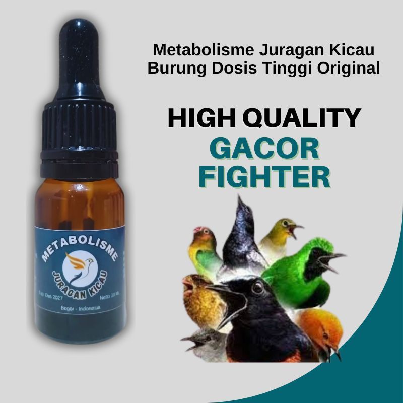 METABOLISME JURAGAN KICAU ASLI METABOLIS SEMUA BURUNG KICAU MURAI PLECI KACER JADI MAKIN GACOR
