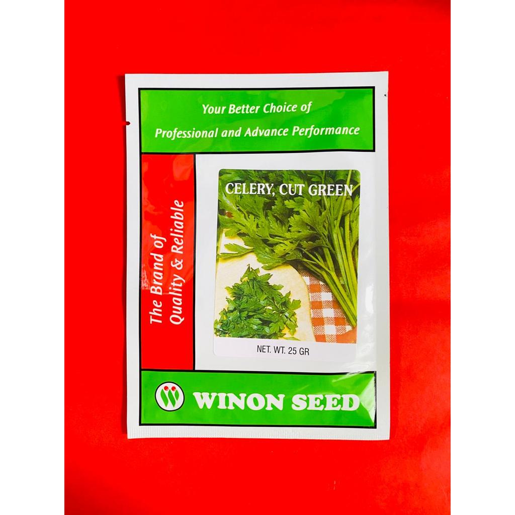 Benih seledri CELERY CUT GREEN isi 25gr dari WINON SEED tahan hama dan penyakit