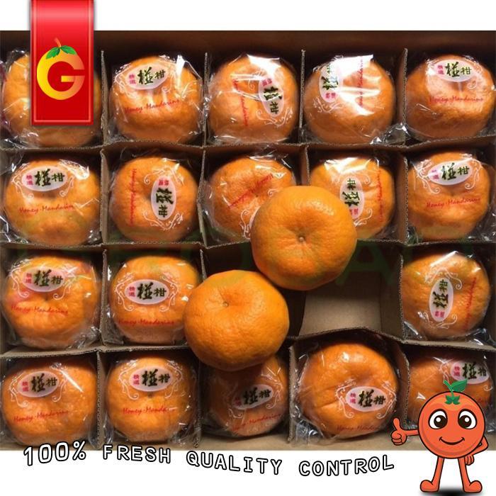 SPESIAL GIFT IMLEK - JERUK PONKAM HDL ISI 40 PCS Terlaris