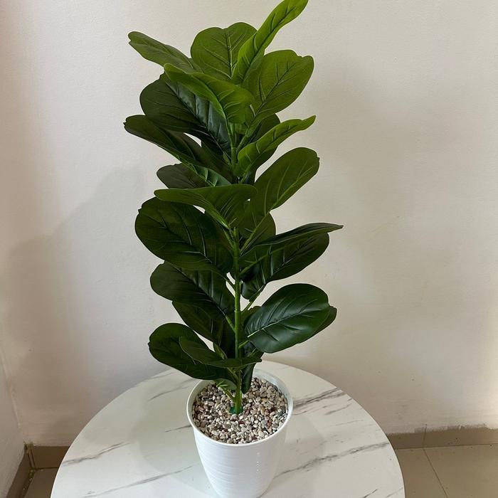 Atap Home TANAMAN ARTIFICIAL KETAPANG 23DAUN(sudah termasuk pot) Latex Plastik