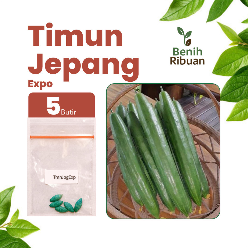 BENIH JAYA - Benih Timun Jepang Unggul Bibit Timun Jepang Super Benih Timun Jepang Berkualitas