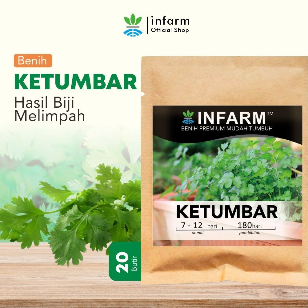 Benih Ketumbar INFARM Bibit Ketumbar Berkualitas Biji Ketumbar Tanam Sayur Herbal Mudah Tumbuh