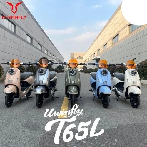 Sepeda Listrik U-Winfly T65L Lithium Baterai 48V/12AH Termurah Garansi Resmi