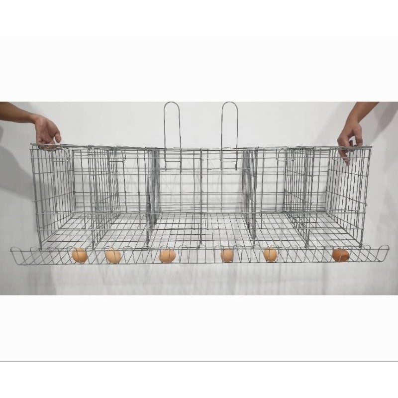 Kandang ayam petelur 6 pintu
