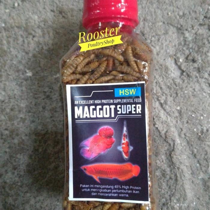 MAGGOT SUPER HSW Magot Pakan Pelet ikan Besar Arwana Louhan