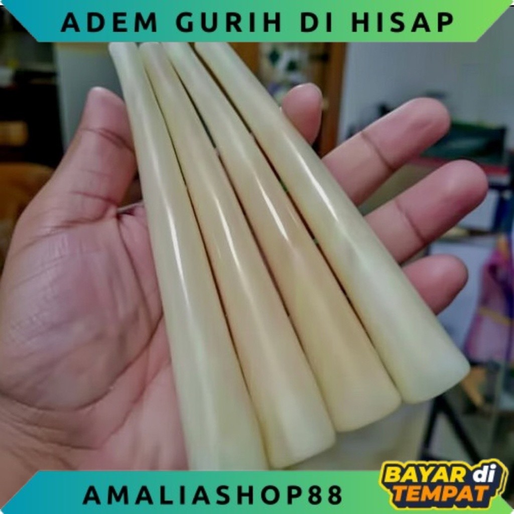 ONCE PIPA TULANG UNTA SUPER ADEM PULEN