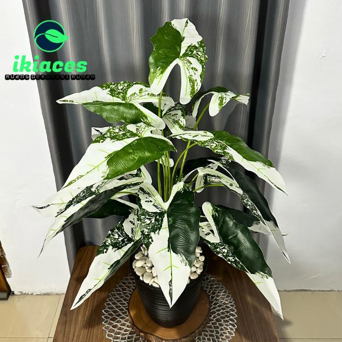 Promo DAUN CALADIUM ARTIFISIAL DAUN KELADI JUMBO PLASTIK BUNGA HIAS SUDUT RUMAH DEKORASI BUNGA PLAST