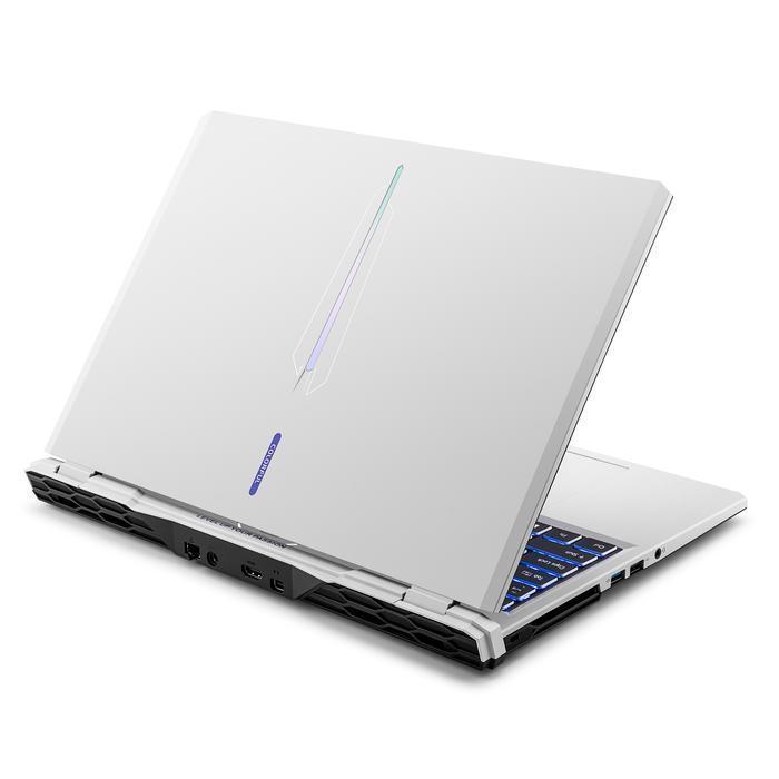 COLORFUL EVOL P15 | Laptop Gaming i5 12450H RTX 4050 512GB SSD 16GB DDR5 FHD 144Hz - White