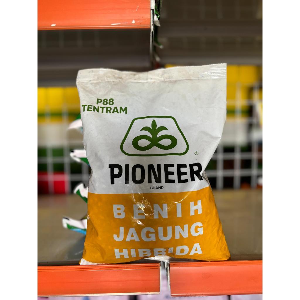 Benih Jagung Hibrida P88 Tentram kemasan 1kg