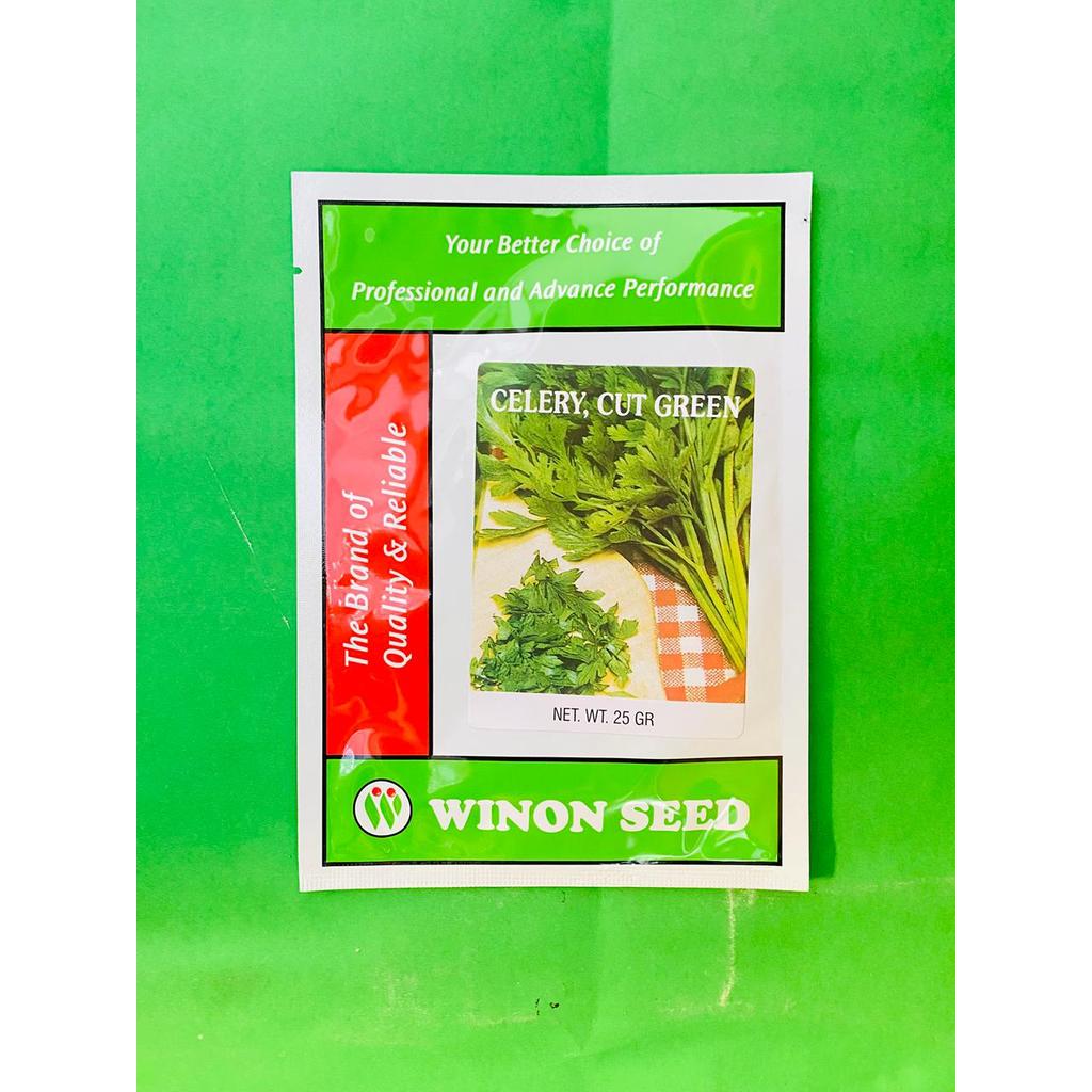 Benih seledri CELERY CUT GREEN tahan hama dan penyakit isi 25gr dari WINON SEED