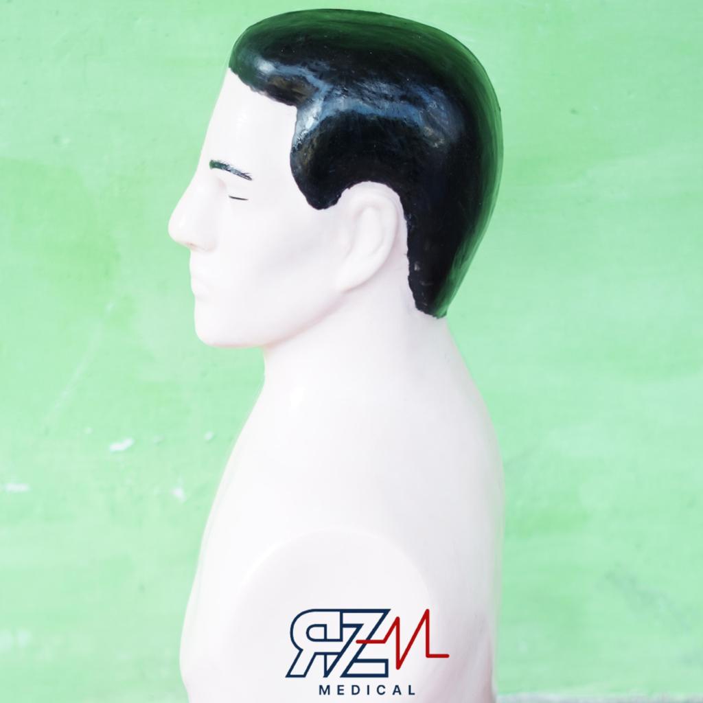 PHANTOM MANIKIN NGT SETENGAH BADAN